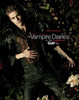 TVD (45)