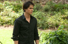 TVD (7)