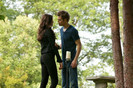 TVD (10)