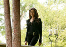 TVD (12)