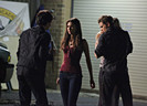 TVD (16)