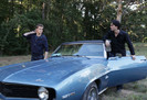 TVD (19)