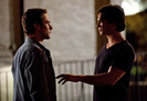 TVD (20)