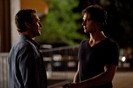 TVD (22)