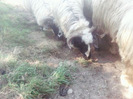 Photo0818