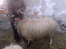 Photo0991
