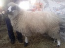 Photo0994