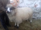 Photo0995