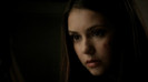 TVD (40)