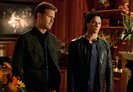 TVD (48)