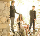 TVD (6)