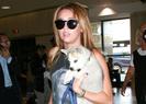 miley-cyrus-pressed