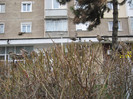vrabiute