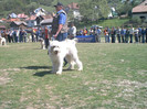 Rist de Romania RPJ Rucar 2004
