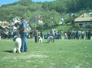 Rist de Romania RPJ Rucar 2004