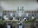 expo (196)