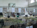 expo (197)