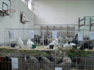 expo (199)
