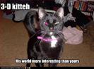 funny-pictures-cat-sees-world-in-3d