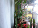 P1089274
