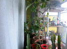 P1089275