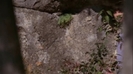 Camp Rock 2 (184)