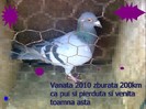 vanata 2010