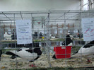 expo (215)