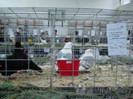 expo (216)