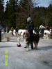 BIS 000_0451 azuga 2004