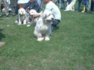 Iasi 2004 May22^24