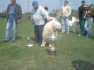 Iasi 2004 Apr25002