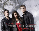The Vampire Diaries (1)