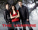 The Vampire Diaries (3)