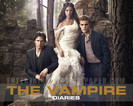 The Vampire Diaries (4)
