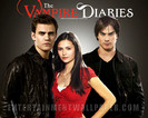The Vampire Diaries (5)