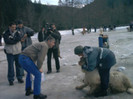 osiceanu arbitru azuga 2004