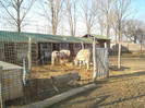 DSC02966