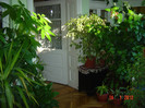 poze 655