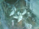 DSC00073