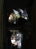 Sighisoara