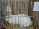 DSC03549
