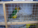 IMG_0191