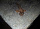 DSCN0793