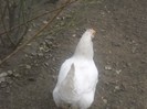 DSCN2225