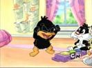 Baby Looney Tunes