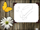 Shahid -autograf