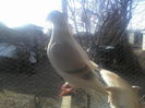 P15-01-12_12.15[1]