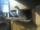 P15-01-12_12.16[1]