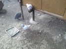 P15-01-12_13.58[3]
